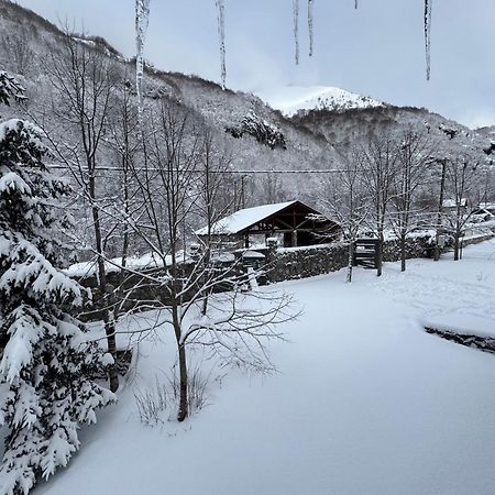 Biocinovici Vikendica Villa Kolašin Kültér fotó