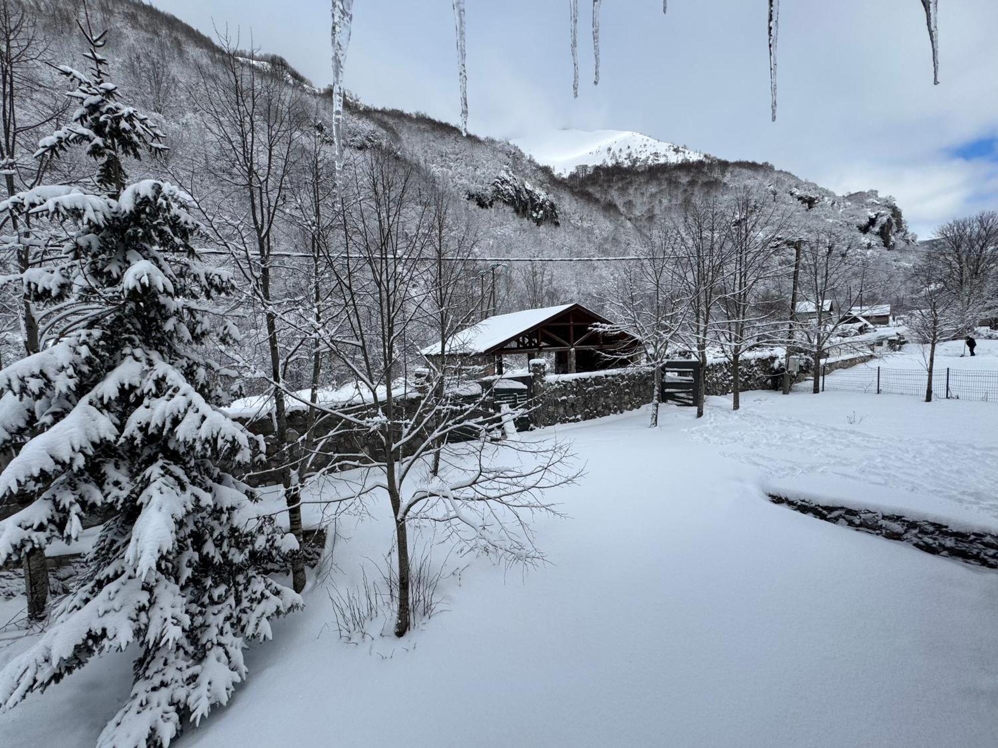 Biocinovici Vikendica Villa Kolašin Kültér fotó